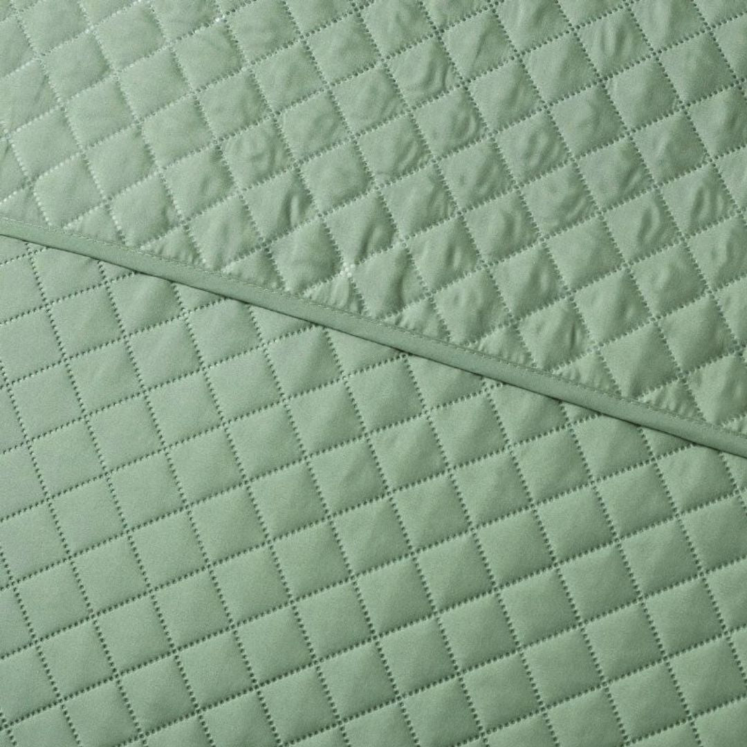Argyle Watercress Coverlet Set