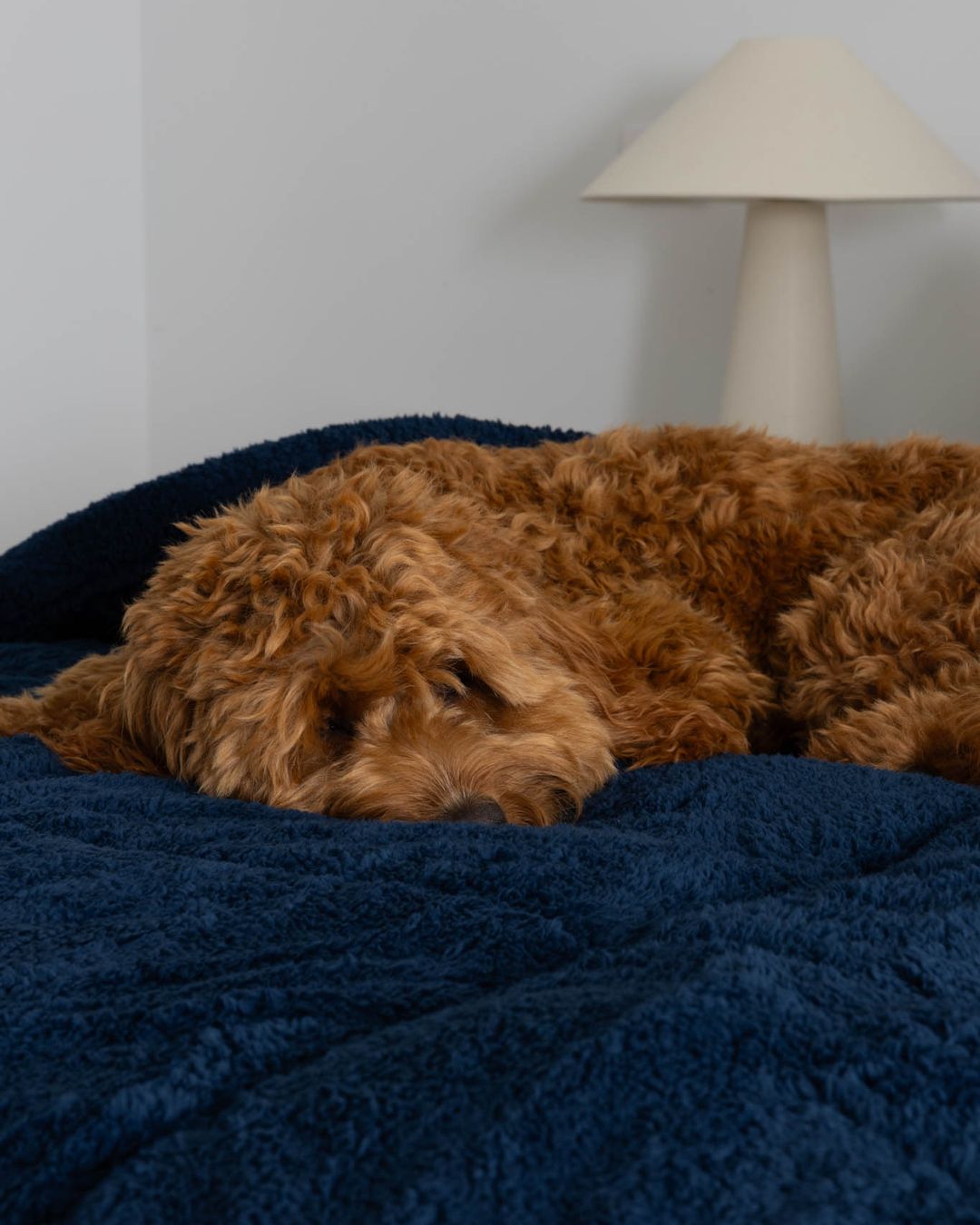 Detail shot of the Morgan and Reid Pagnet Blue Snuggle Fleece Pillowcase Pair on pillows