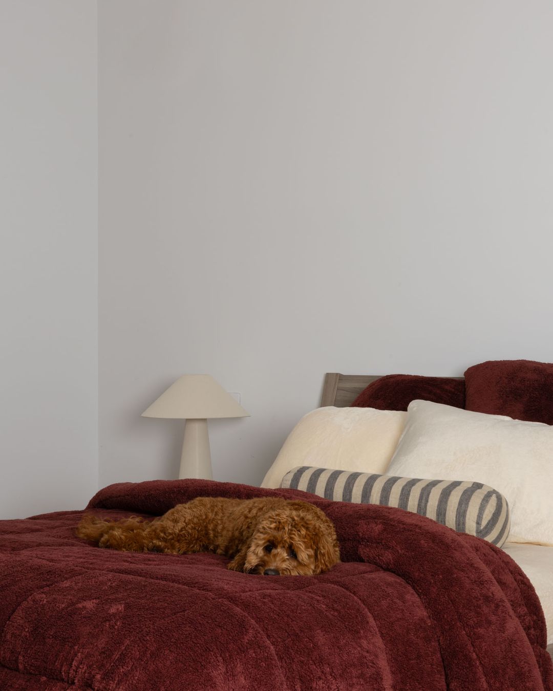 Morgan and Reid Hot Chocolate Snuggle Fleece Comforter Set folded to show depth and plush texture