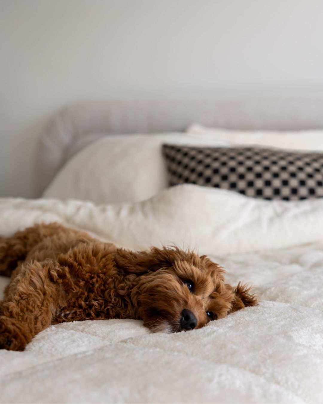 Detail shot of the Morgan and Reid All Seasons Snuggle Fleece Ivory Comforter Set fabric and finish