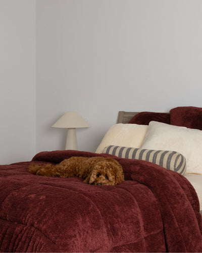 Dog lying on a bed with burgundy chocoalte comforter and striped pillow, lamp in the background.