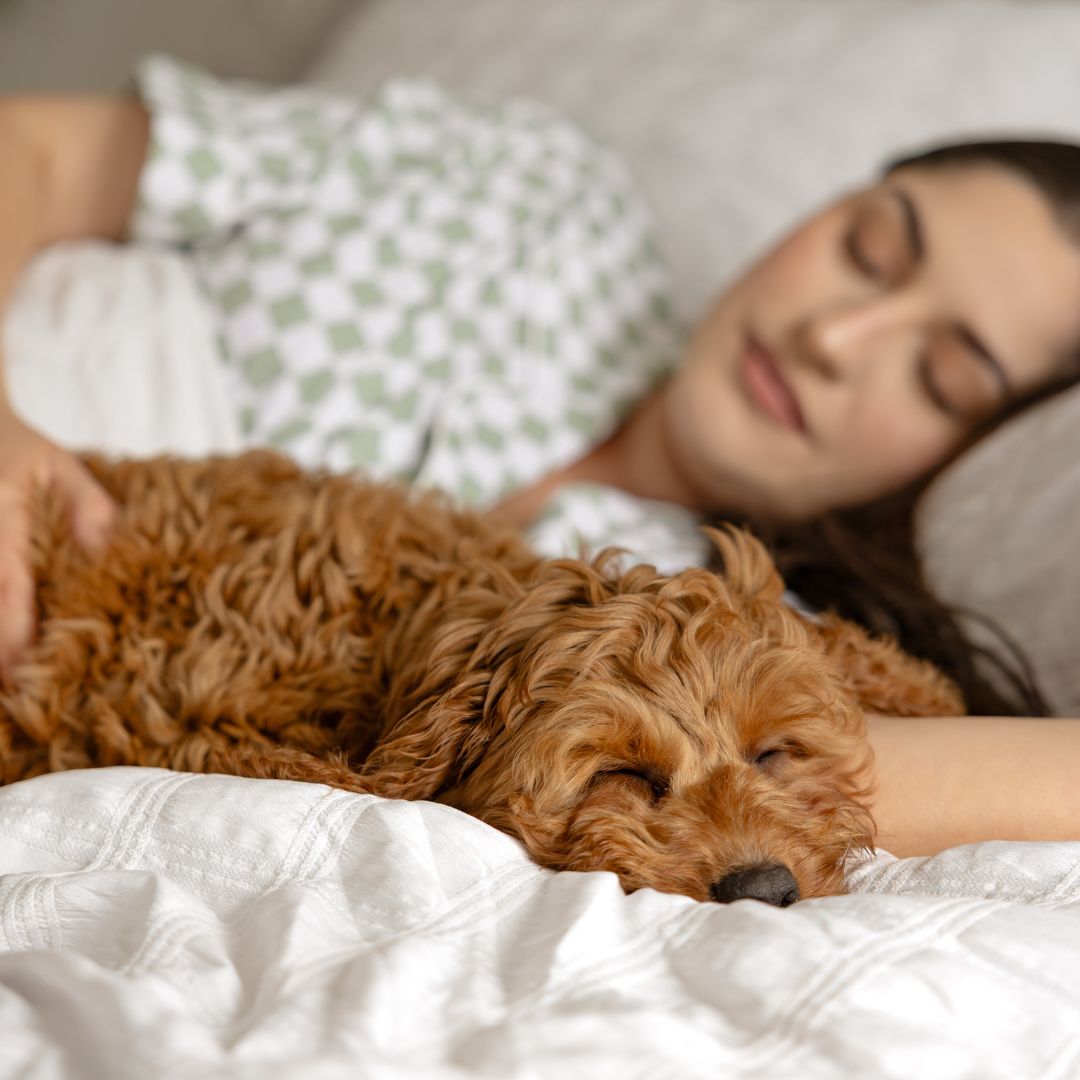 Morgan and Reid Whispers of White Comforter Set - Woman and dog sleeping together on a bed